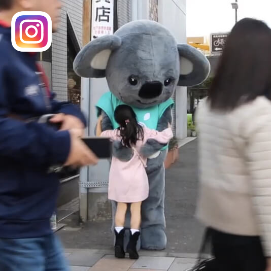 Koala Video 1