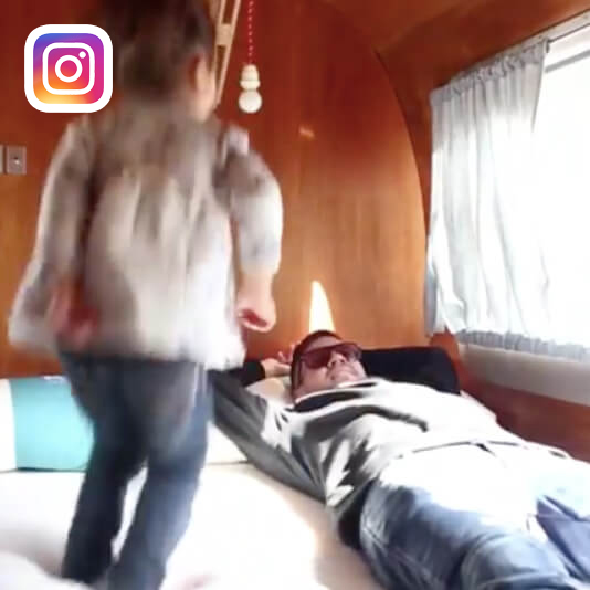 Koala Video 2